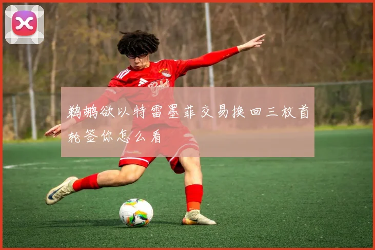 鹈鹕欲以特雷墨菲交易换回三枚首轮签你怎么看